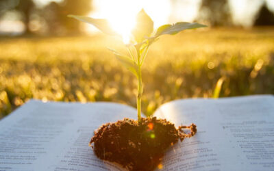 Celebração Eucarística