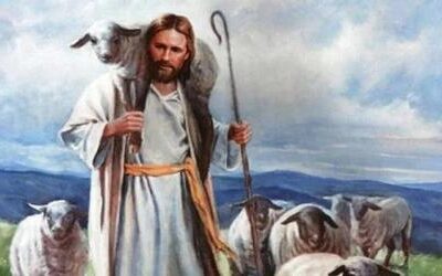 IV Domingo da Páscoa